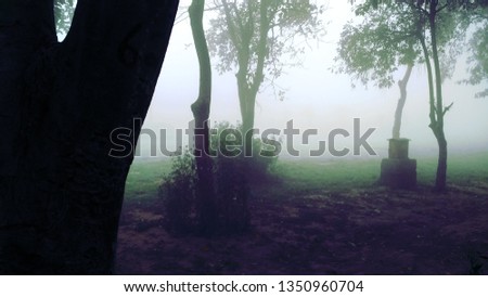 Beautiful picture of Foggy weather in the park
