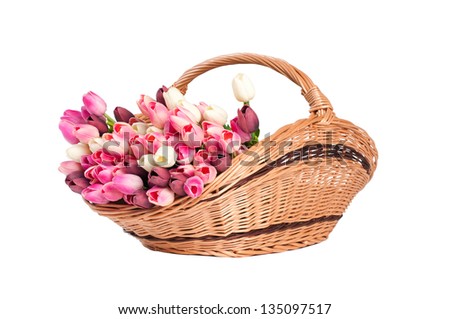 Tulips in the basket on a white background.