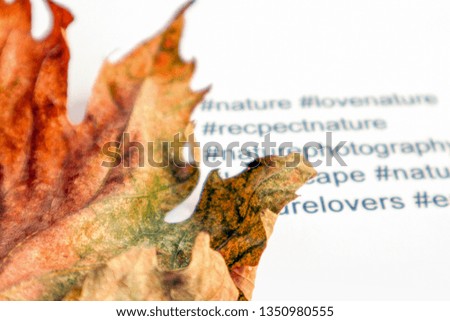 Dry leaf with nature concept on white background.Save Nature. Green environment protection concept.A global warming concept.Ecology concept.#savenature hashtag            