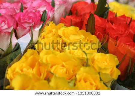 Mothers day. Valentines day. Yellow roses.