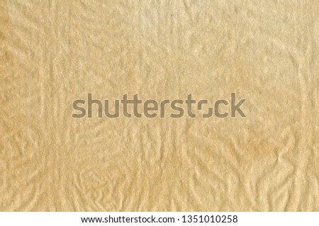 Crumpled Parchment Texture