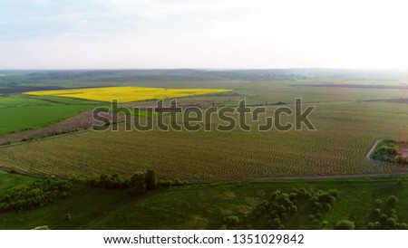 Aerial View Of Orchards With Fruit Trees. Near The Garden Is A Rapeseed Field. Spring.