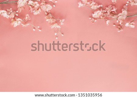 Beautiful and peaceful spring flower blossoms against a coral colored background. Image shot from top view.