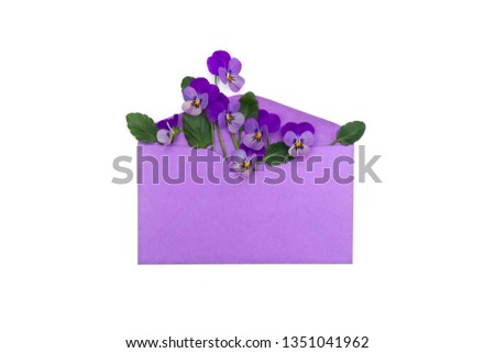 Bouquet of beautiful flowers viola tricolor ( pansy ) in violet postal envelope on a white background. Top view, flat lay