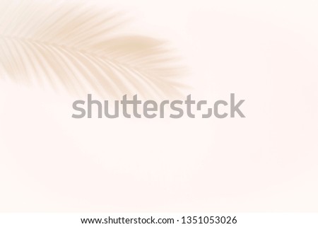 Shadow Of Palm Leaf On Pink  Royalty-Free Stock Photo #1351053026