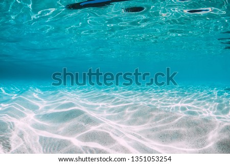 Tropical blue ocean with white sand underwater in Hawaii Royalty-Free Stock Photo #1351053254