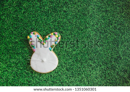 Easter composition with easter cookies rabbits on green grass background. Easter concept with copy space. Flat lay