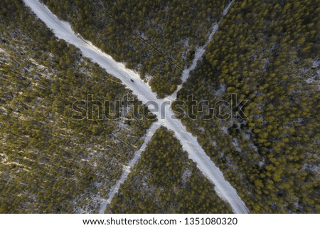Winter forest from top