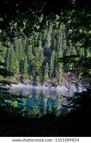 The green spruce forest in the window (framed) of the branches is reflected in the water of a mountain lake. Lake Ritsa (Little Ritsa) Tourism in the Caucasus in Abkhazia.