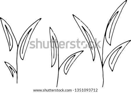 Leaves. Little tree grass icon vector. Sketch vintage design. Illustration for posters decoration.