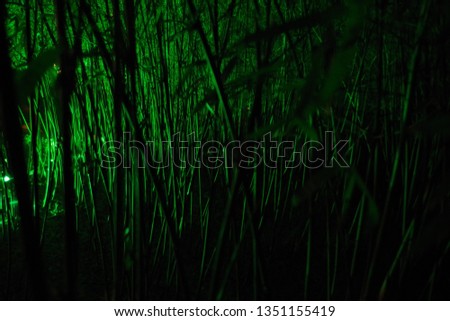 dark alien forest