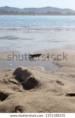 Tidal waters flowing over sand. Ocean surf at the beach. Textured beach sand by the waves.