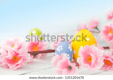 Easter eggs and pink flowers decoration on blue background. Gentle toned picture