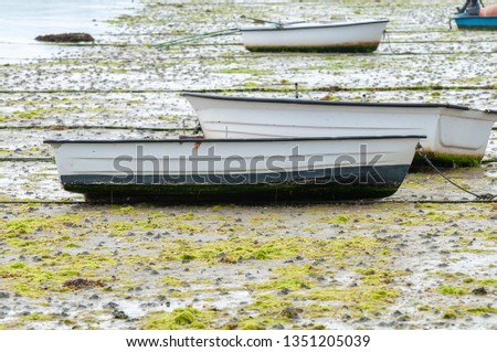 white motor boat at anchor