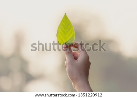 woman hand holding the leaf