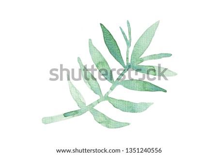 Watercolor hand painted with green  leaves on white background.