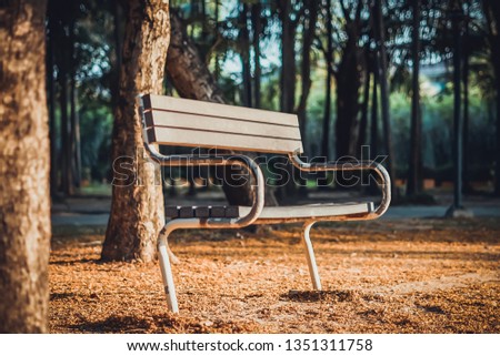 A minimalist park bench in the afternoon sun against a back ground of tall trees 