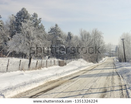 winter road with ice and trees