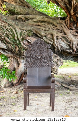 graduation chair with old fig tree, árvore figueira-benjamim (Ficus benjamina), Beira Rio, Barra de São João, Casimiro de Abreu, Rio de Janeiro
