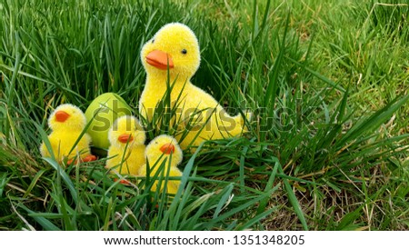Mom's duck, three small ducks and a green egg on the spring grass in the garden. Easter background.
