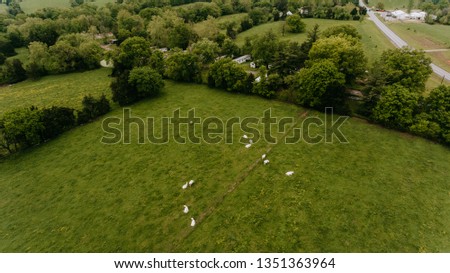Aerial View of Rural Farm affected by Spring flooding featuring Farm house, silo on dry ground, livestock, green fields, brown flood water, covered roads