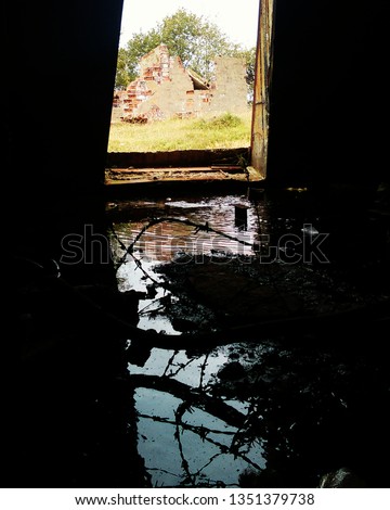 Reflection in the water showing opposite colors of nature. Picture taken inside flooded ruins.