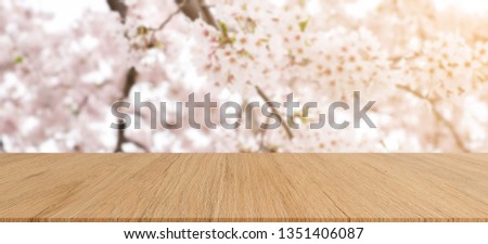 blurry of cherry blossom blooming season festive with wood plank perspective background for ad,show,promote product or content on display concept