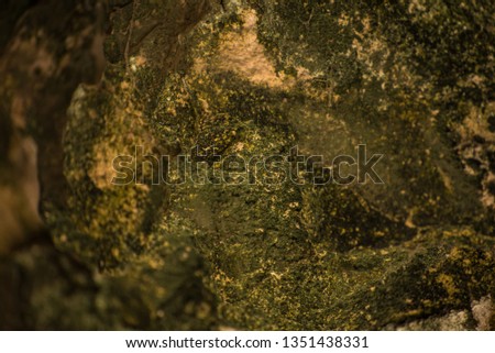 mossy texture, Depth of field