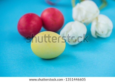 Easter card on a blue background yellow and red Easter eggs with white tulips
