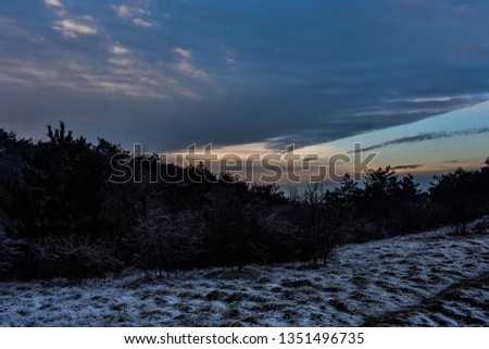 A beautiful winter sunset in the forest