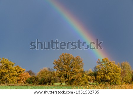 A rainbow against a dark sky, with sunlit trees. The tree leaves have autumn colours.