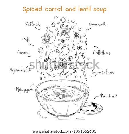Simple recipe for soup. Spiced carrot and lentil soup. Vector illustration Royalty-Free Stock Photo #1351552601