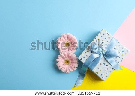 Gerberas with present on three tone background, space for text