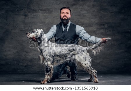 Middle-aged hunter dressed in elegant clothes sits on his knee and shows the full length of his purebred English Setter. Studio photo against a dark textured wall