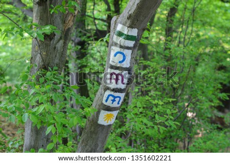 Trial signs on the tree in the Normafa forest