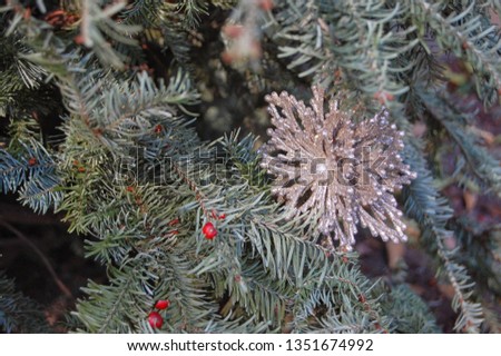 Christmas Ornament in Tree