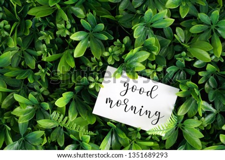 Good Morning wording on a white card over green leaf background 