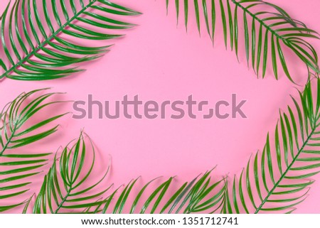 Green palm leaves on pink background concept.