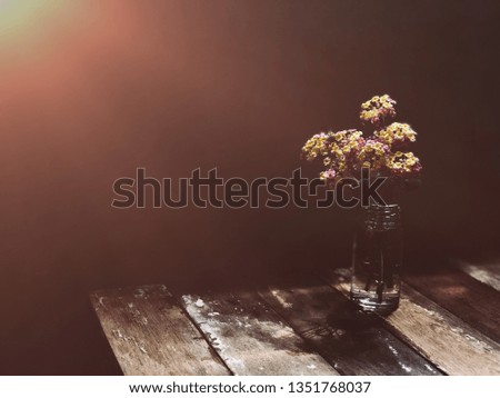 Still life image of Beautiful Small Flowers named"Lantana camara or Cloth of gold",in glass bottle,on empty old wood,exotic light pass a through an petal,lonely shadows,dimly light.Selective focus.