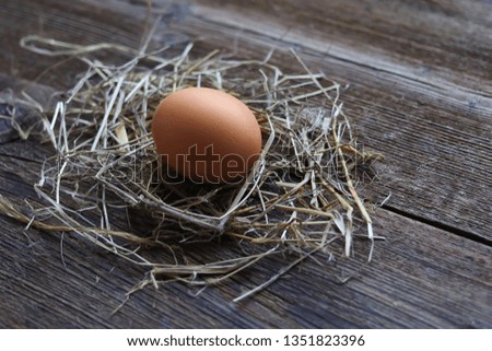 chicken egg on an old wooden table.