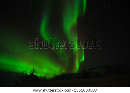 Beautiful Northern lights in the Arctic