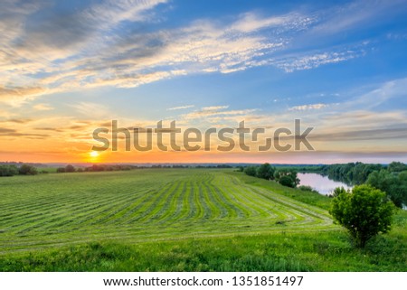 Twilight at cultivated land in the countryside on a summer evening with cloudy sky background. Procurement of food for animals. Combined field.