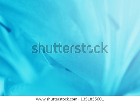 Turquoise color gradient background designWith Space For Text and Image. Flower petal with turquoise color effect for summer trends.