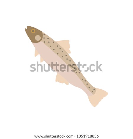 Flat illustration of a trout for food market and restaurant.