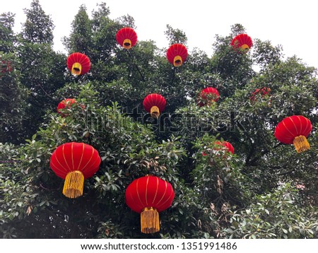 Red lanterns hanging in the trees