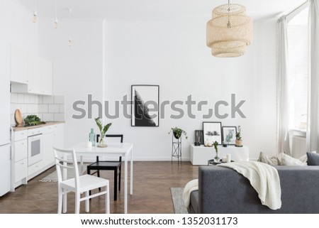 Scandinavian studio apartment with living room and kitchen combined