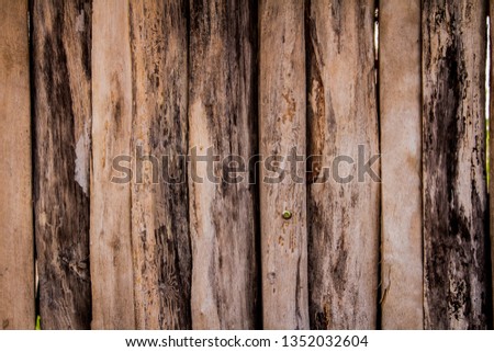 The old wooden background used as the house wall.