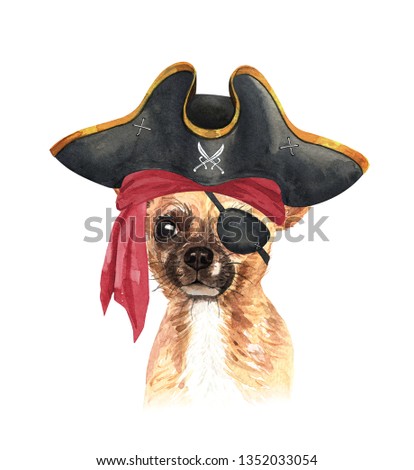 Portrait Chihuahua of a dog. Watercolor hand drawn illustration.Watercolor Chihuahua with Pirate blindfold and Pirate hat layer path, clipping path isolated on white background.