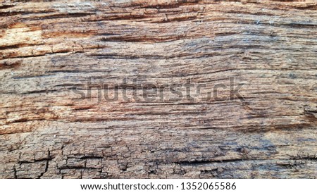 Old wood sheets that are decaying.