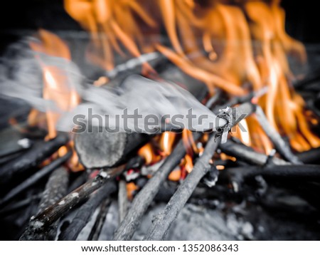 Smoking and burning wood in the oven, grill or in the fireplace.